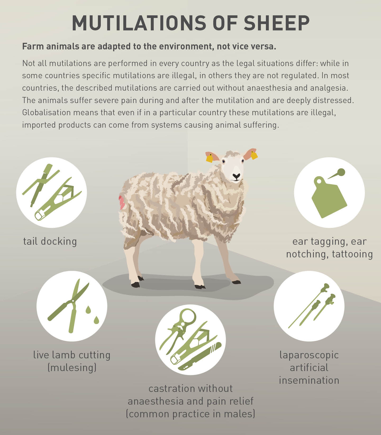 Mutilations of sheep Mutilations of sheep