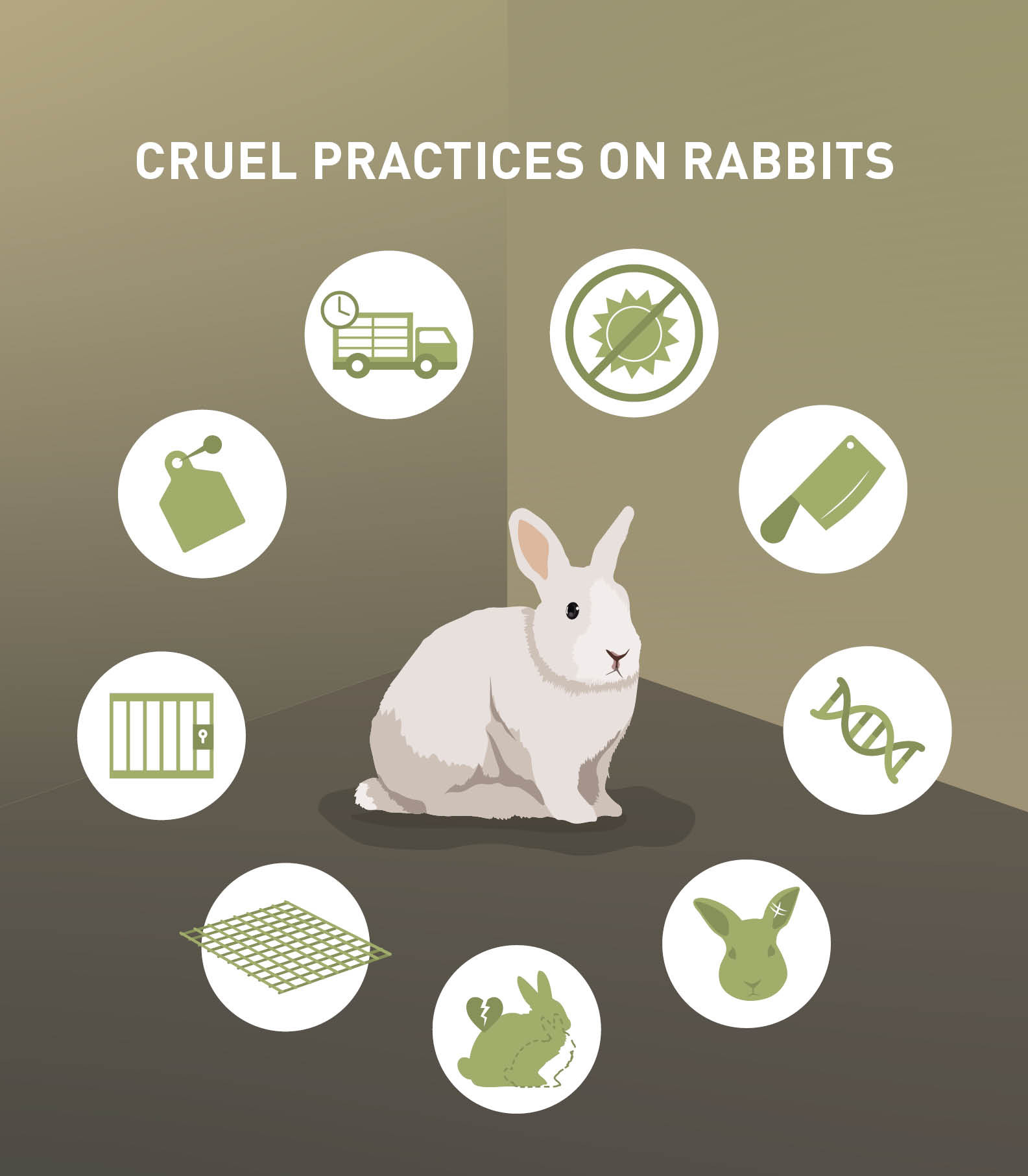 Cruel Practices on Rabbits Cruel Practices on Rabbits