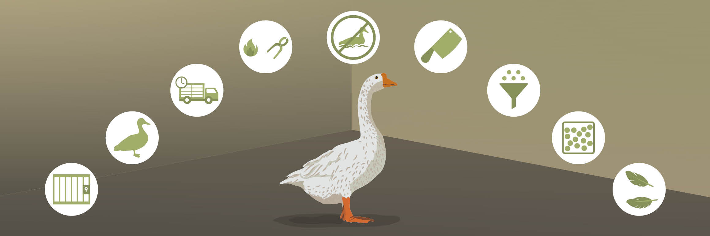 Cruel Practices on Waterfowl Cruel Practices on Waterfowl