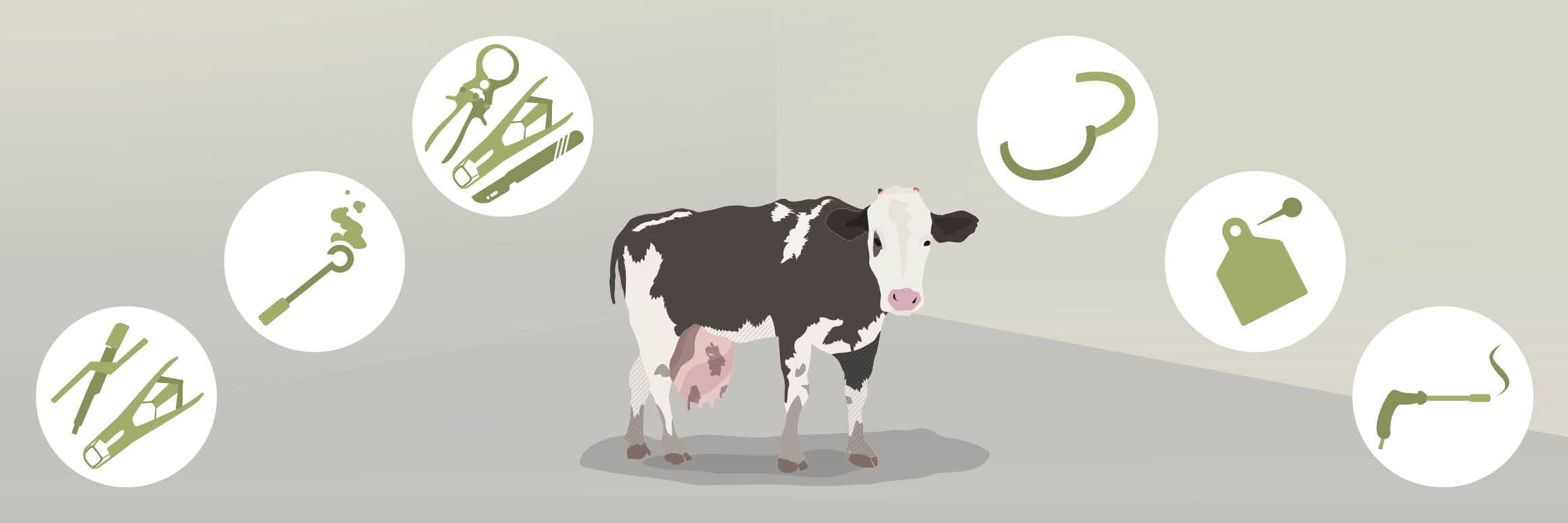 Mutilations of cattle Mutilations of cattle