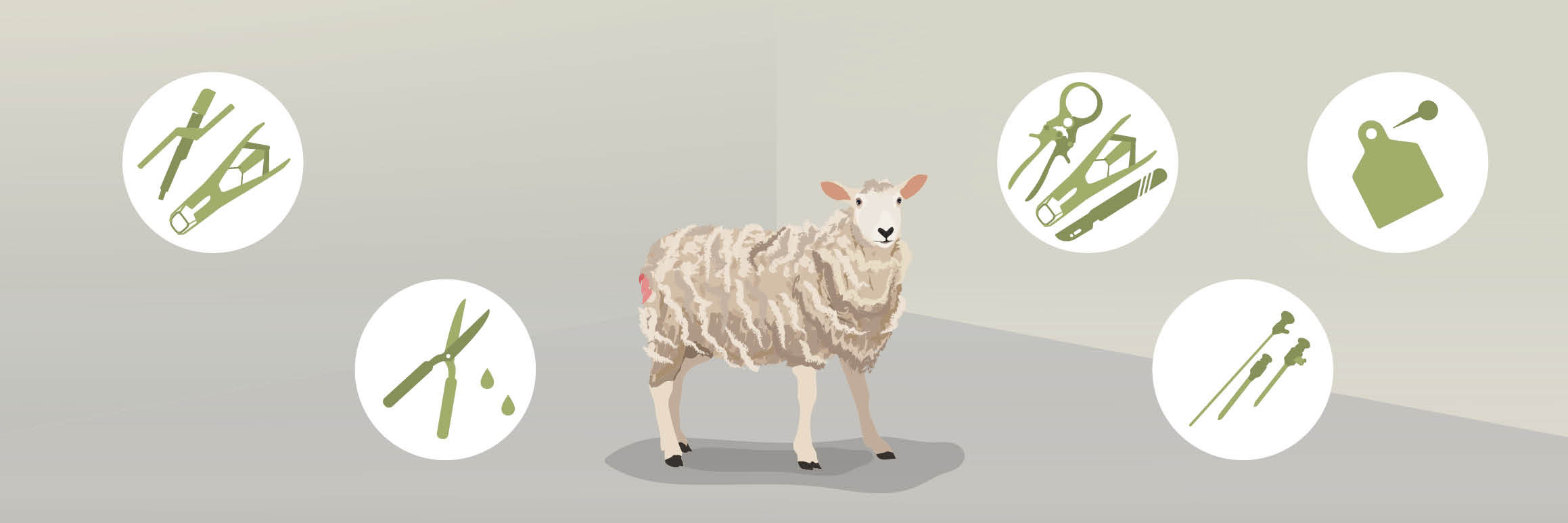 Mutilations of sheep Mutilations of sheep
