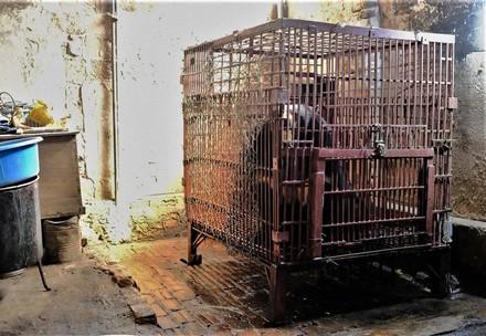 Cuc and Nhai, a life behind bars Cuc and Nhai, a life behind bars