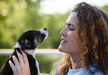 FOUR PAWS offers advice on fostering and adoption