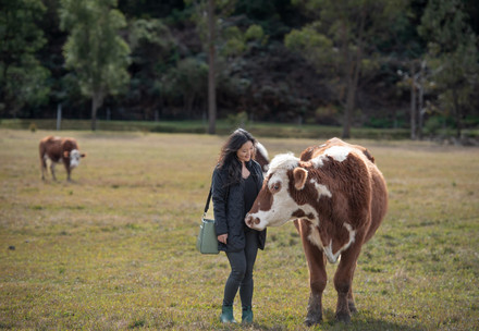 Woman and a cow