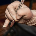 Scapel used for castration Scapel used for castration