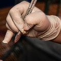 Scapel used for castration Scapel used for castration